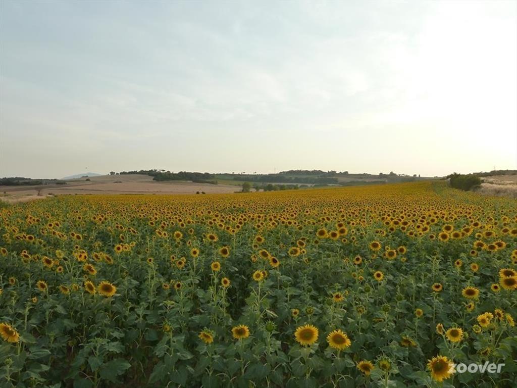 Agriturismo Il Canto Della Gallina Villastrada (Umbria) Exterior photo